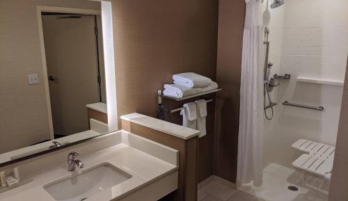 Suite, 1 King, Sofa bed