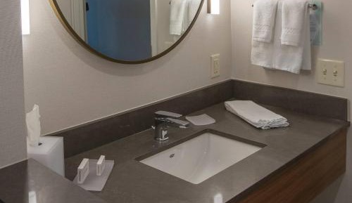 Executive King Suite with Sofa Bed