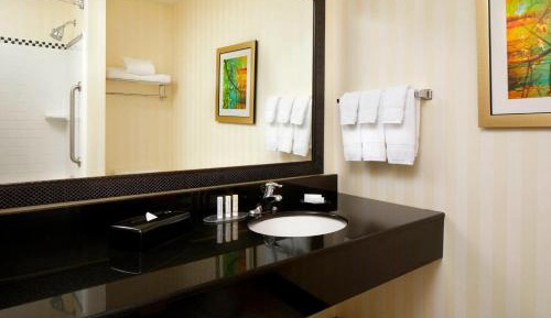 Deluxe King Suite with Sofa Bed
