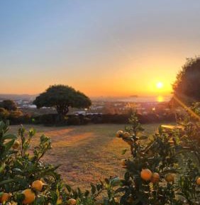 Double Room with Balcony (3 Adults)