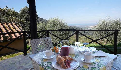 Two-Bedroom Superior Apartment