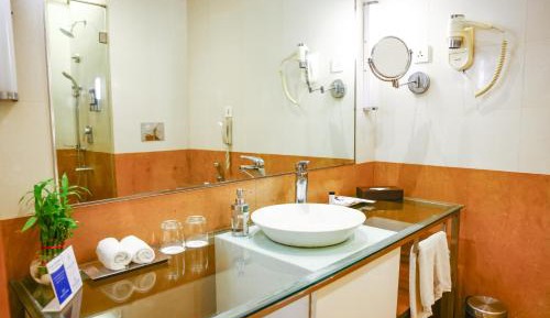 Deluxe Double or Twin Room with City View