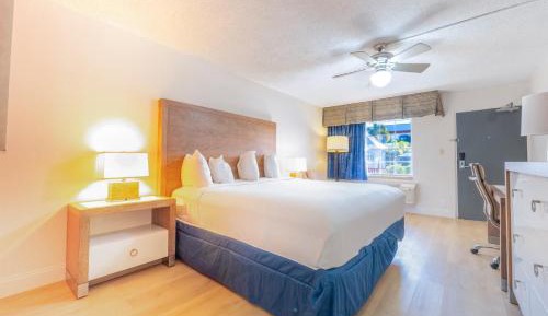 King Room - Non-Smoking