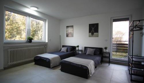 Deluxe Double Room with Shower