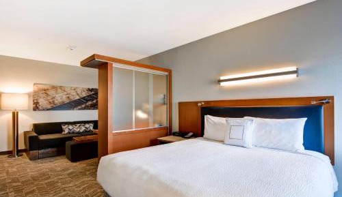 King Suite with Sofa Bed