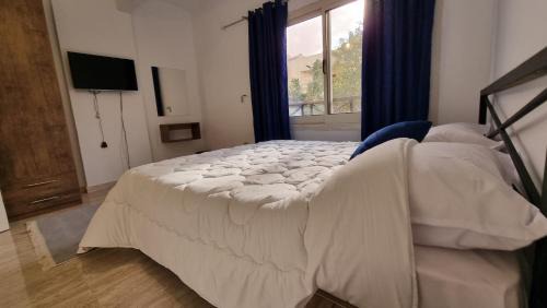 Three-Bedroom Standard Apartment