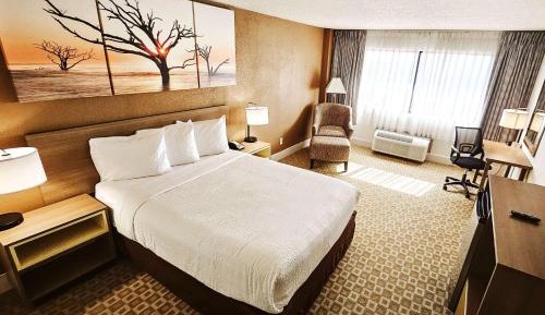 1 Queen Bed, Studio, Non-Smoking