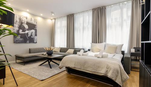 Deluxe One-Bedroom Apartment