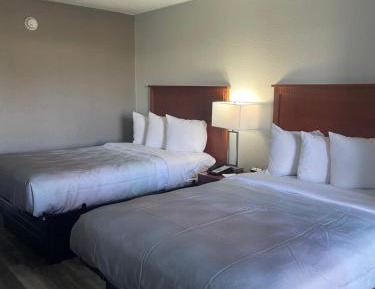 Standard Double Room with Two Double Beds - Non Smoking