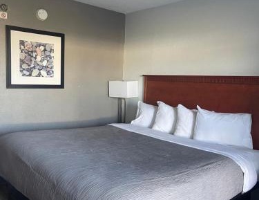 Standard King Room - Non Smoking