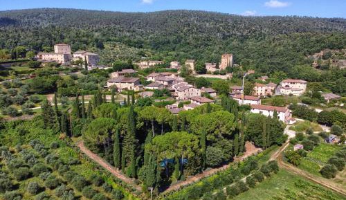 One-Bedroom Premium Apartment