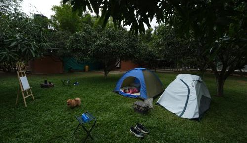 Double Room with Shared Toilet