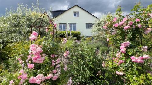 Double Room Blütenreigen