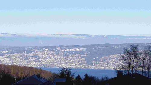 Studio with Lake View