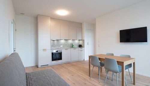 One Bedroom Apartment with balcony O