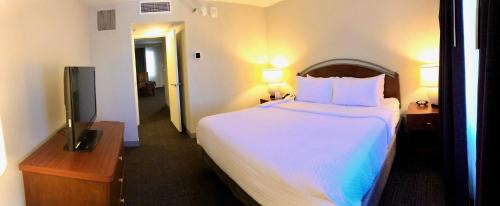 One-Bedroom King Suite