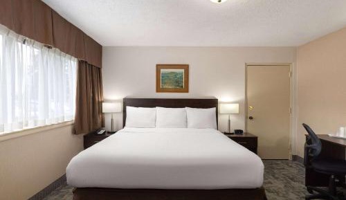 Business King Room - Non-Smoking