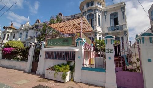 Single Bed in Mixed Dormitory Room