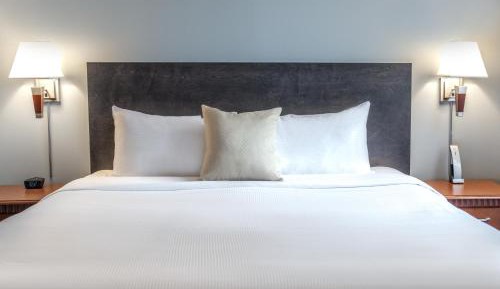 Executive King Suite