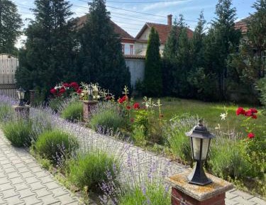 Villa with Garden View