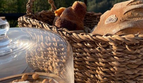 King Room with Garden View