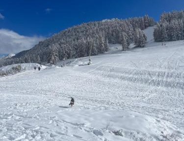 Studio with Mountain View