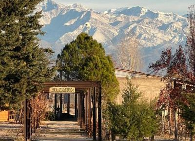 Suite with Mountain View