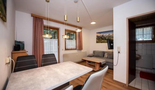 Apartment with Mountain View