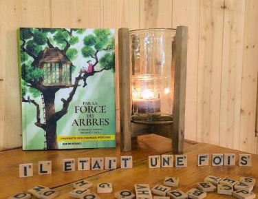 Wooden Treehouse with Spa Bath (Disabled Access)