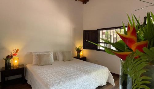 King Room with Garden View