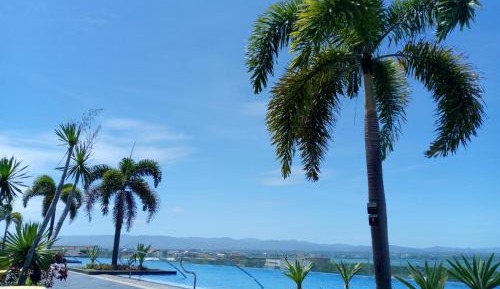 Deluxe One-Bedroom Apartment with Ocean View