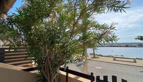 Holiday Home (4 Adults)