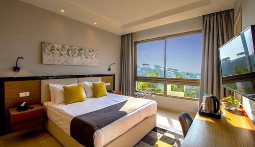 Deluxe Double Room (2 Adults + 1 Child)