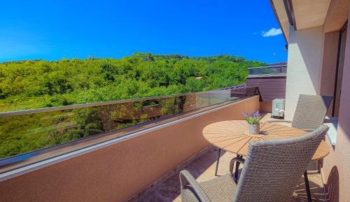 Deluxe Double or Twin Room with Mountain View