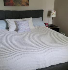 Large Double or Twin Room