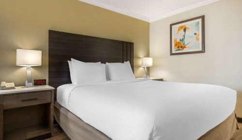 Business King Room with Sofa Bed