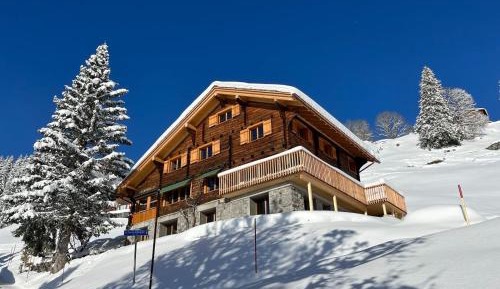 Three-Bedroom Chalet