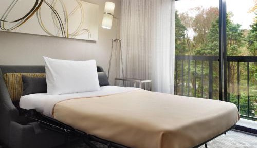 King Room with Sofa Bed - Hearing Accessible