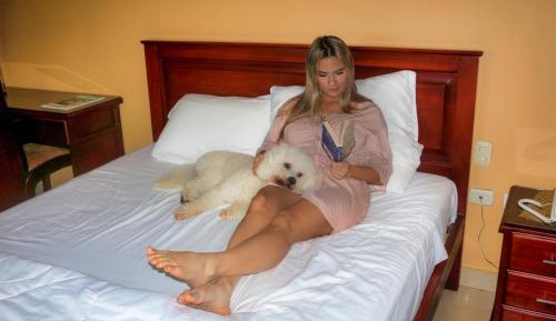 Family Room with view