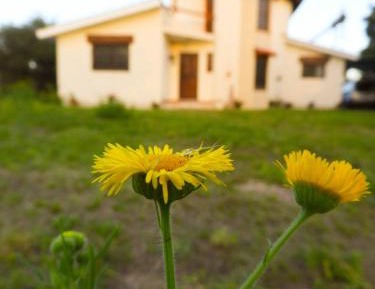 Two-Bedroom Townhouse