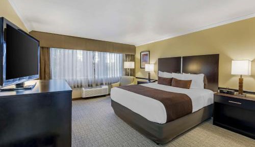 King Room - Poolside