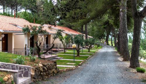 Standard Apartment - 1 Room