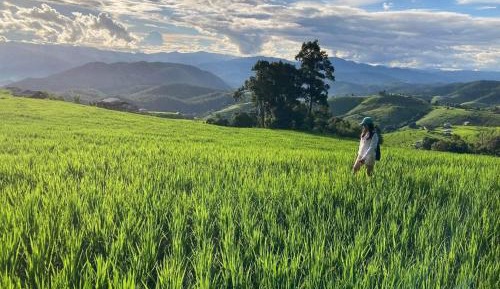 Double Room with Mountain View