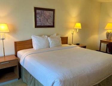 King Room - Non-Smoking