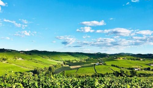 Villa with Garden View