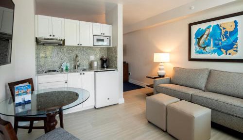 Studio with Garden View