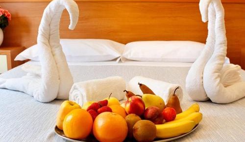 Standard Double or Twin Room with Garden View