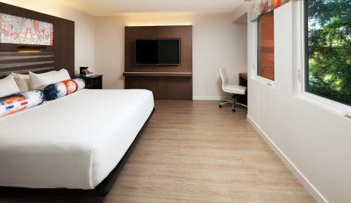 Savvy Guest Room, Larger Guest room, 1 King