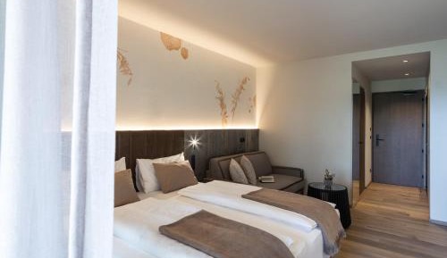 Double Room with Mountain View