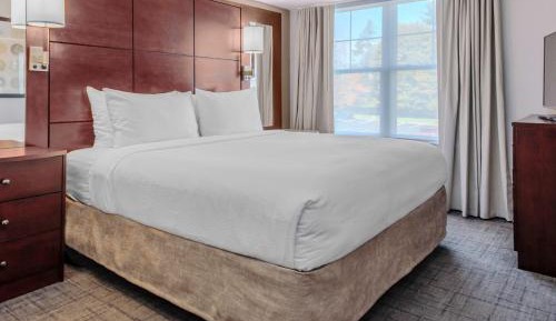 One-Bedroom King Suite with Sofa Bed